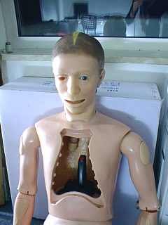 Interaktive Skulptur